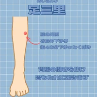 画像453