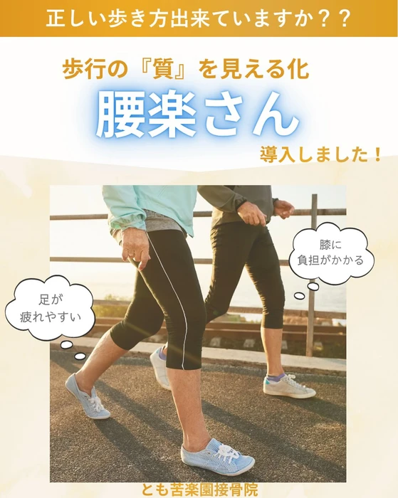 画像538